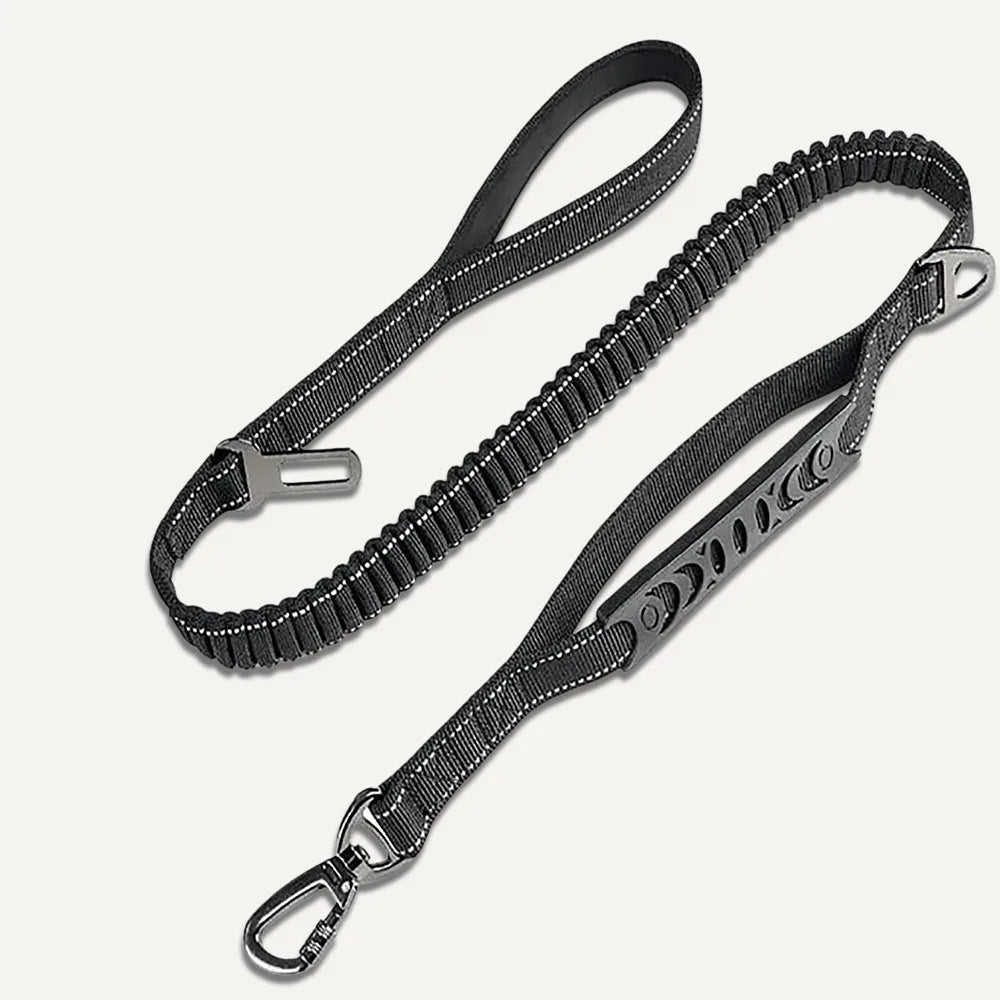 Anti-Pull Dog Leash