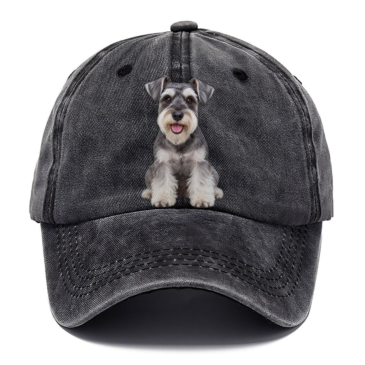 Miniature Schnauzer Sitting Top Breeds Classic Cap