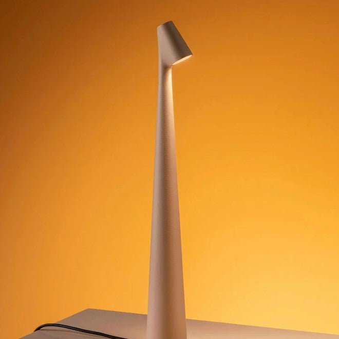 Rechargeable LED Table Lamp with 2700K Warm White and 3 Brightness Levels