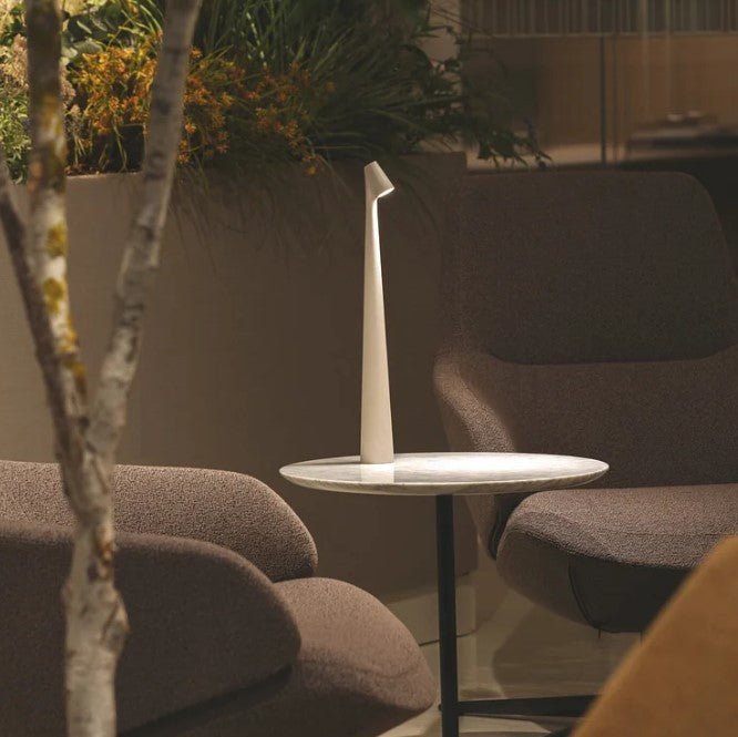 Rechargeable LED Table Lamp with 2700K Warm White and 3 Brightness Levels