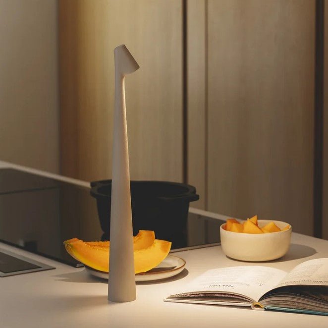 Rechargeable LED Table Lamp with 2700K Warm White and 3 Brightness Levels