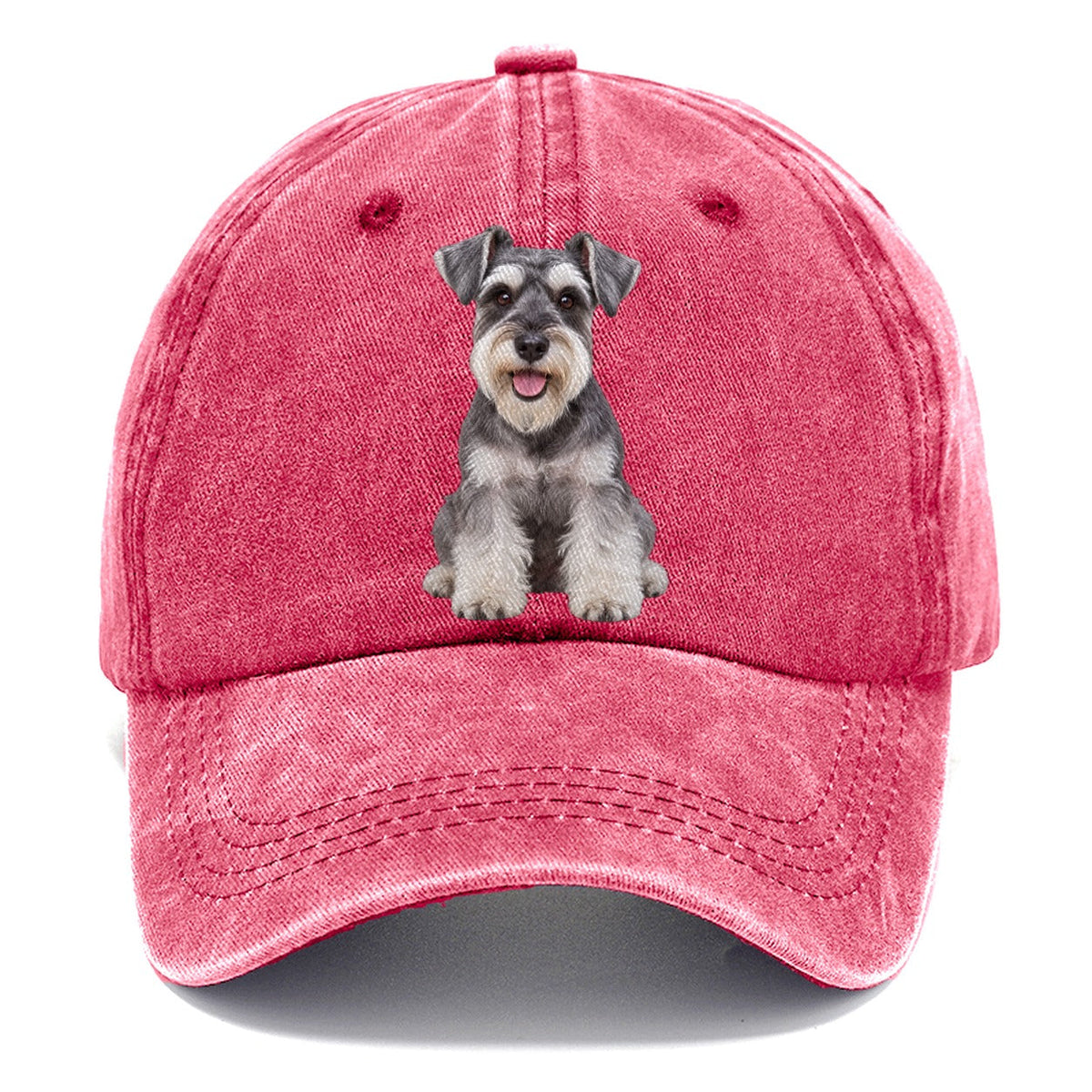 Miniature Schnauzer Sitting Top Breeds Classic Cap