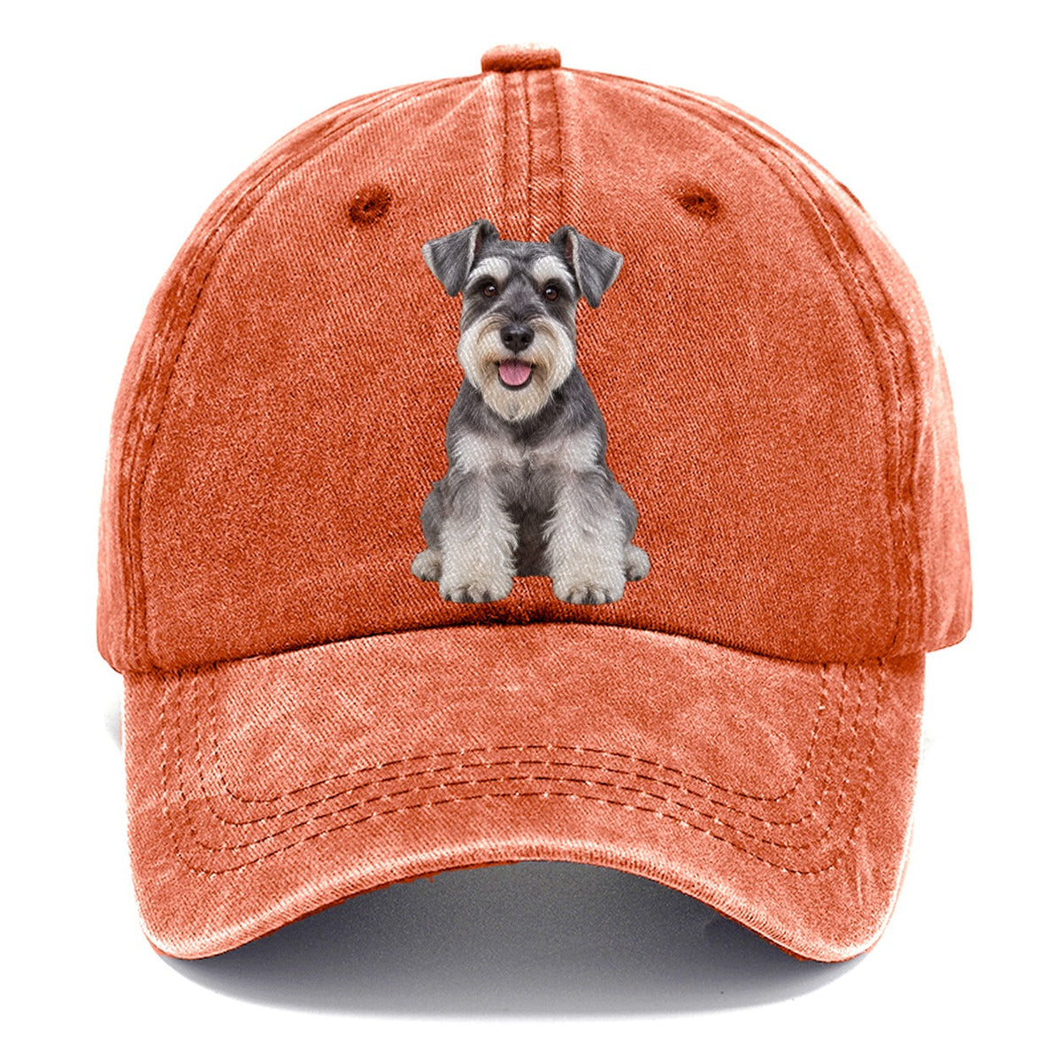 Miniature Schnauzer Sitting Top Breeds Classic Cap