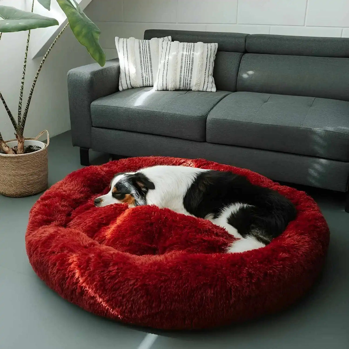 Stress-Relieving Premium Pet Bed for Dogs