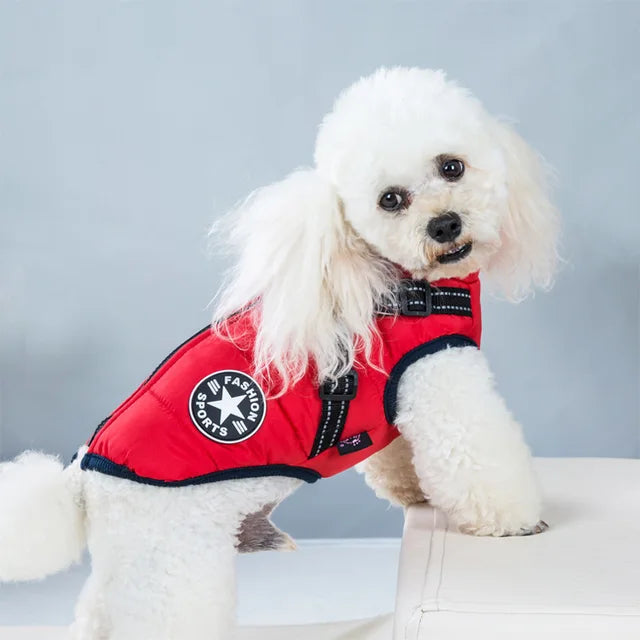 Wind and Waterproof Dog Jacket with Integrated Harness