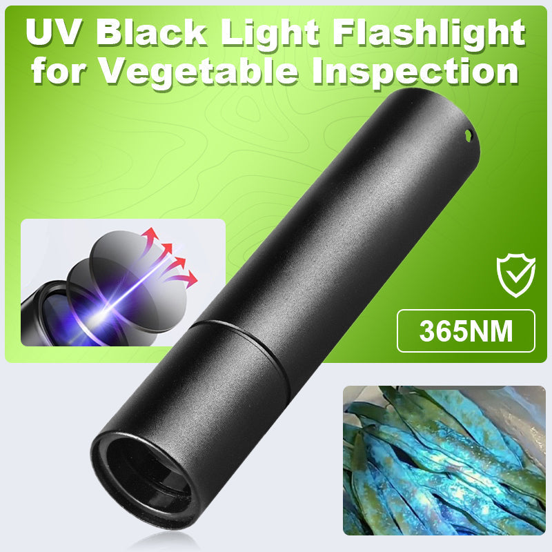 365 nm UV Flashlight | 10W Blacklight for Vegetable Inspection & Aflatoxin Detection